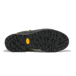 Alp Trainer 2 Gore-Tex homme