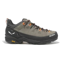 Alp Trainer 2 Gore-Tex homme