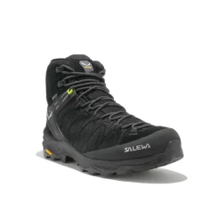 Alp Trainer 2 Mid GTX homme