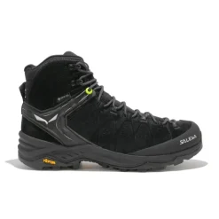 Alp Trainer 2 Mid GTX homme
