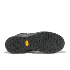 Alp Trainer 2 Mid GTX homme