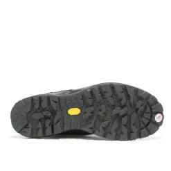 Anvik II GTX homme