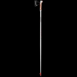 BATONS DE MARCHE NORDIQUE PASSION