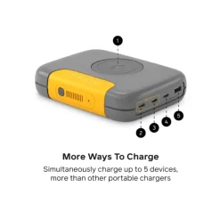 BATTERIE CHARGE 100 MAX