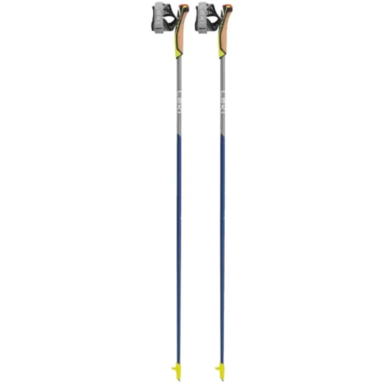 BÂTONS DE MARCHE NORDIQUE SPEED PACER LITE