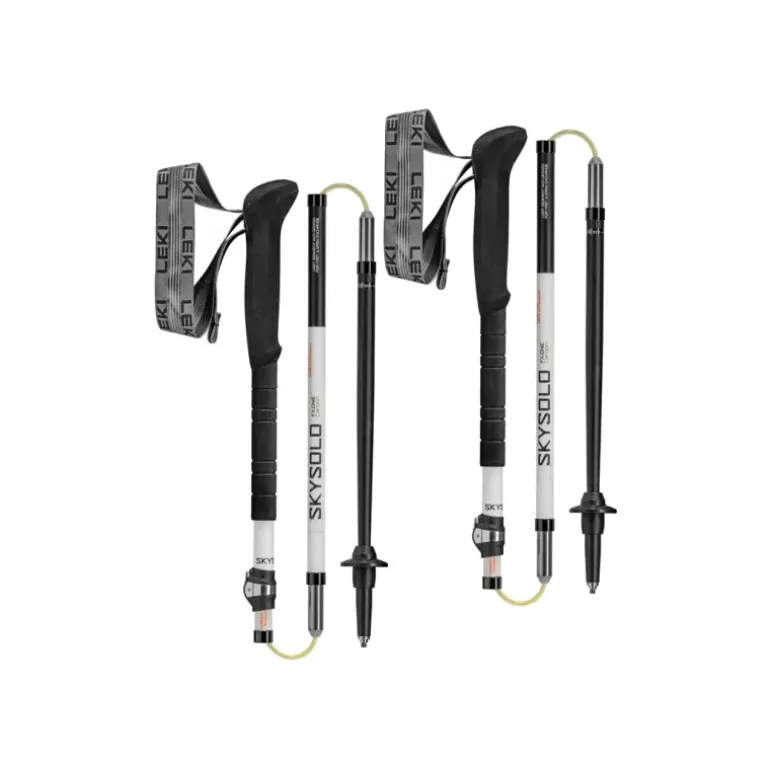 Bâtons de randonnée Skysolo FX.One Carbon