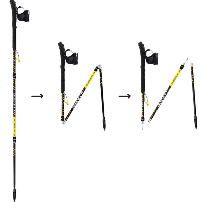 BÂTONS DE TRAIL PLATINIUM NÉO PULSE CARBONE