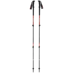 BÂTONS DE TRAIL TREKKING