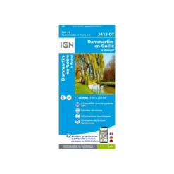 Carte IGN  DAMMARTIN-EN-GOËLE LE BOURGET