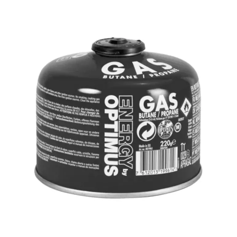CARTOUCHE GAZ 230G 4 SAISONS