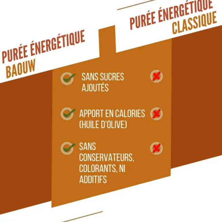 COMPOTE ÉNERGÉTIQUE BIO 90G