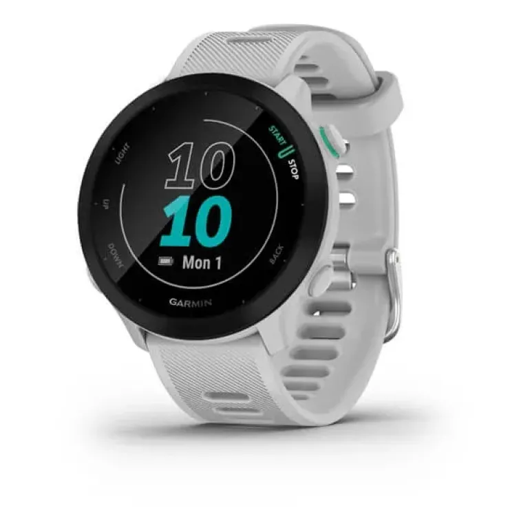 Forerunner 55