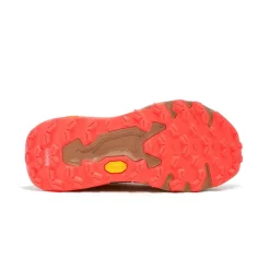 Fresh Foam X Hierro v9 femme