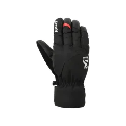 GANTS TELLURIDE GLV