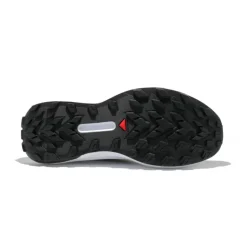 Genesis homme