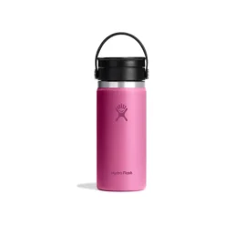 GOURDE HYDRO FLASK 16 OZ WIDE FLEX SIP REEF