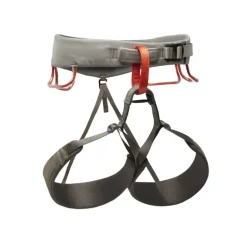 HARNAIS MOMENTUM HOMME