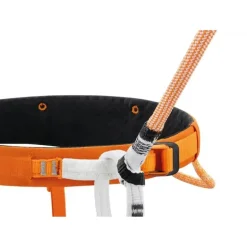 Longe Connect Adjust orange