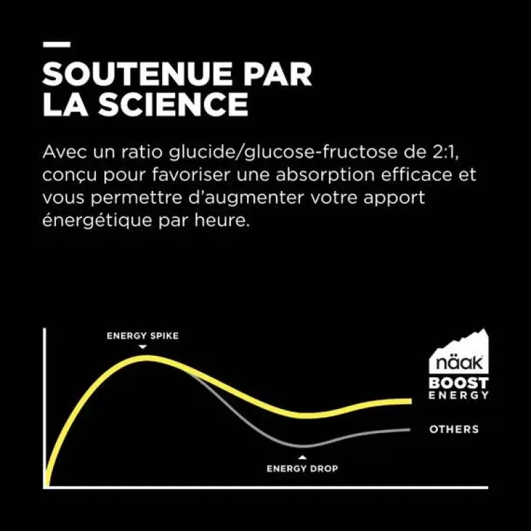MÉLANGE POUR BOISSON BOOST ENERGY 960