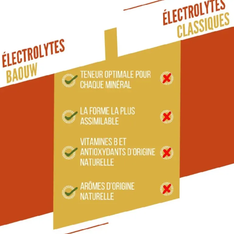 Pastilles électrolytes
