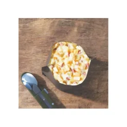REPAS LYOPHILISÉ - TARTIFLETTE  SAVOYARDE