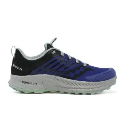 Ride TR2 GTX homme