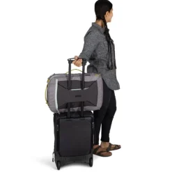 Sac Transporter Travel Pack 36L
