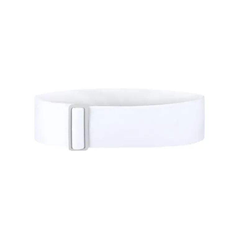 SPEED VISOR