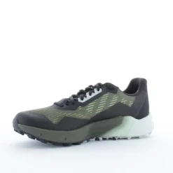 TERREX AGRAVIC FLOW 2 GTX HOMME