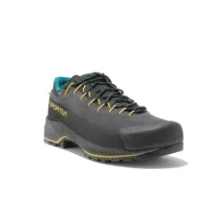 TX4 EVO GTX homme