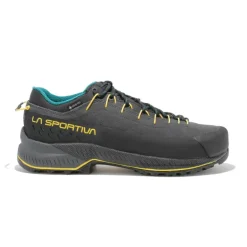 TX4 EVO GTX homme