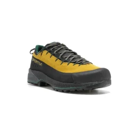 TX4 EVO GTX homme