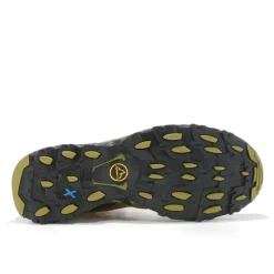 ULTRA RAPTOR II MID LEATHER GTX HOMME